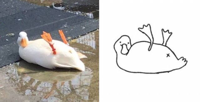 Funny But Poorly Drawn Animals (37 pics) Funny But Poorly Drawn Animals (37 pics)