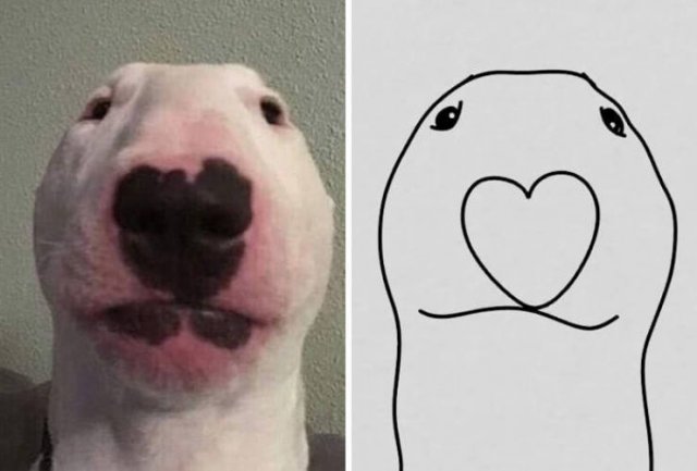Funny But Poorly Drawn Animals (37 pics) Funny But Poorly Drawn Animals (37 pics)