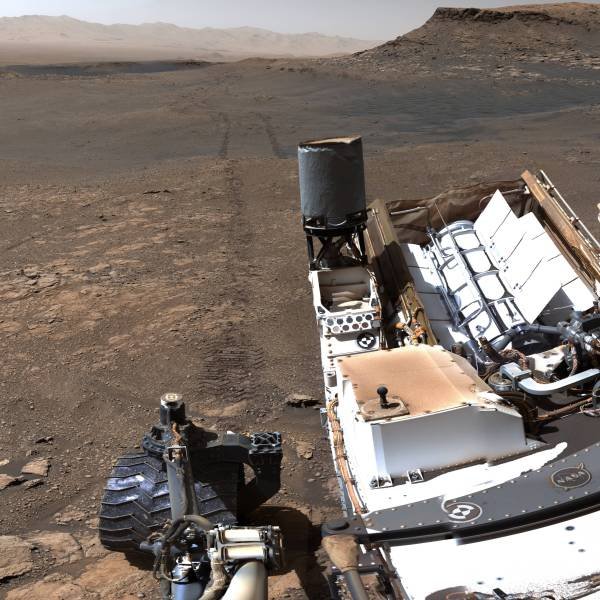 Interesting Finds And Discoveries (49 pics)
