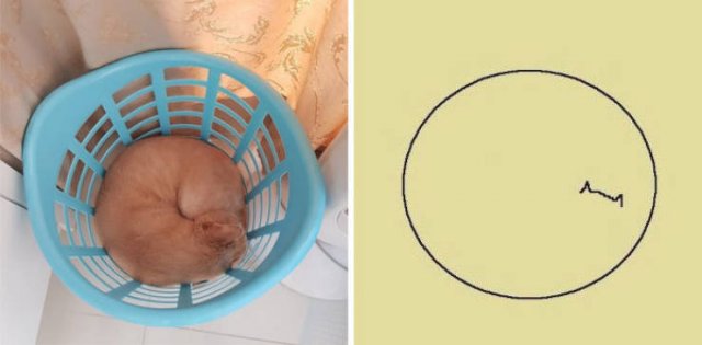 Funny But Poorly Drawn Animals (37 pics) Funny But Poorly Drawn Animals (37 pics)