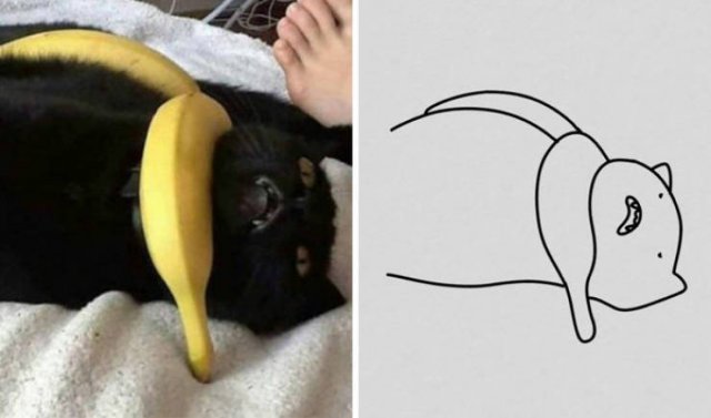 Funny But Poorly Drawn Animals (37 pics) Funny But Poorly Drawn Animals (37 pics)