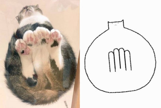 Funny But Poorly Drawn Animals (37 pics) Funny But Poorly Drawn Animals (37 pics)