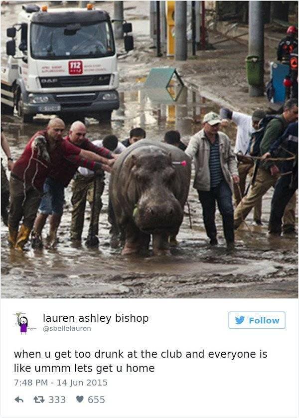 Memes About Alcohol (27 pics)