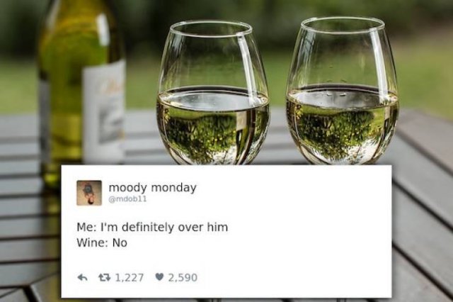 Memes About Alcohol (27 pics)