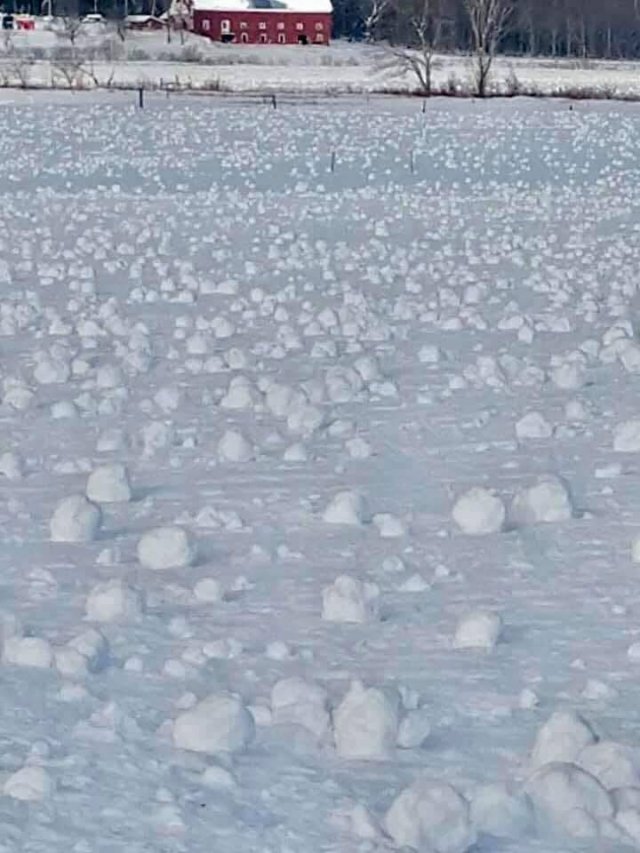 Interesting Finds And Discoveries (49 pics)