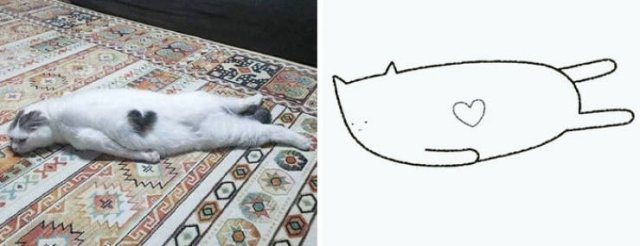 Funny But Poorly Drawn Animals (37 pics) Funny But Poorly Drawn Animals (37 pics)