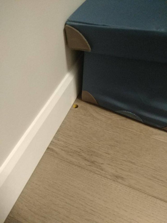 Interesting Finds And Discoveries (49 pics)