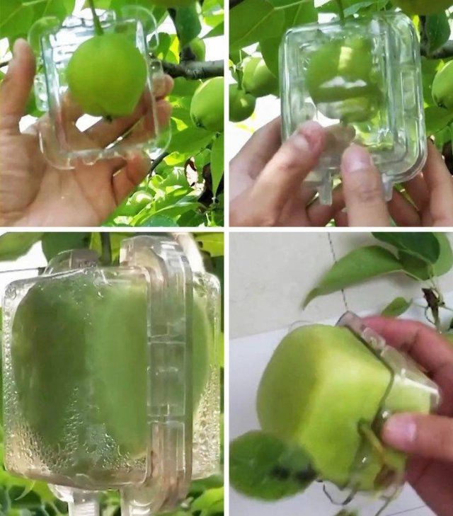 Interesting Finds And Discoveries (49 pics)