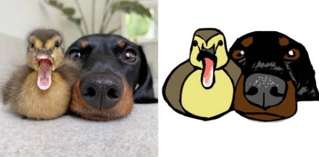Funny But Poorly Drawn Animals (37 pics) Funny But Poorly Drawn Animals (37 pics)