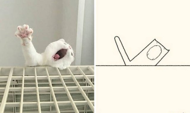 Funny But Poorly Drawn Animals (37 pics) Funny But Poorly Drawn Animals (37 pics)
