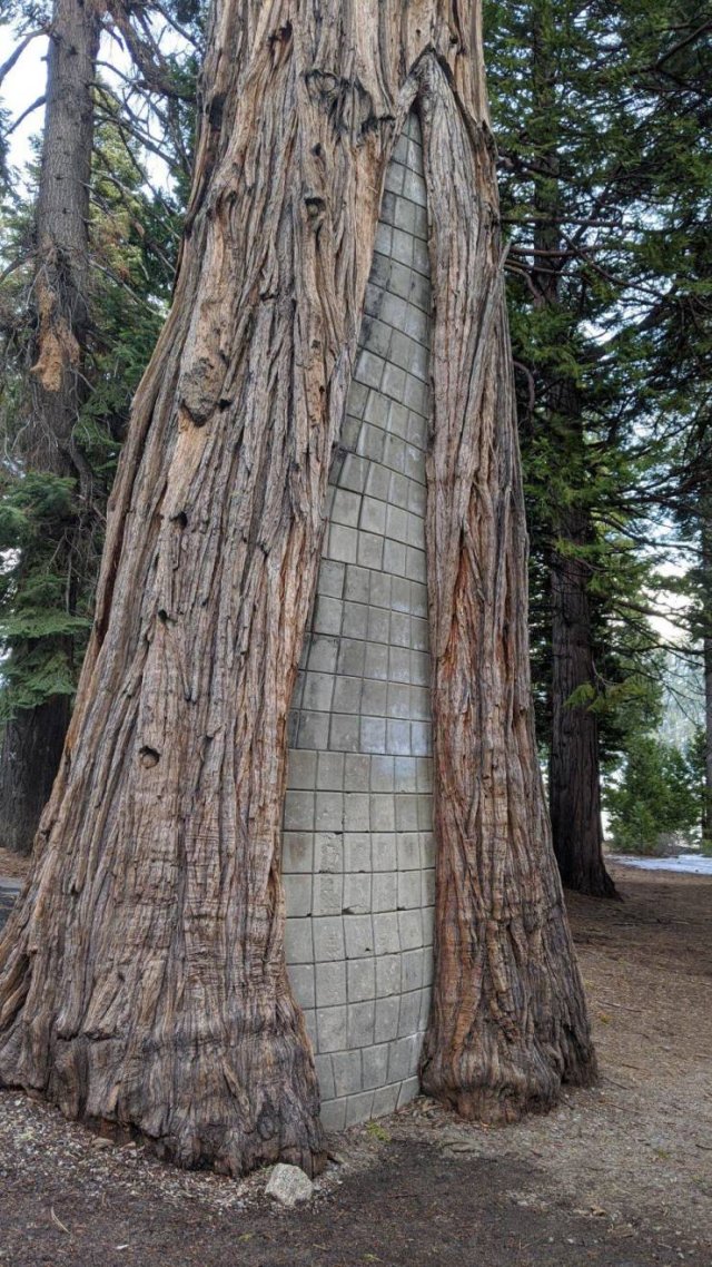 Interesting Finds And Discoveries (49 pics)