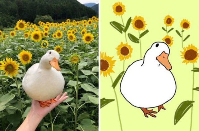 Funny But Poorly Drawn Animals (37 pics) Funny But Poorly Drawn Animals (37 pics)