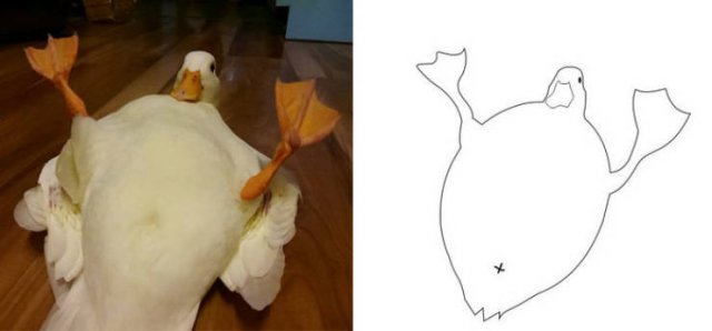 Funny But Poorly Drawn Animals (37 pics) Funny But Poorly Drawn Animals (37 pics)