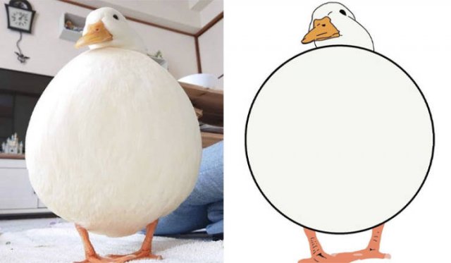 Funny But Poorly Drawn Animals (37 pics) Funny But Poorly Drawn Animals (37 pics)
