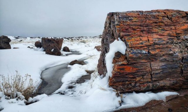 Interesting Finds And Discoveries (49 pics)