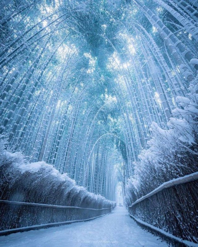 Interesting Finds And Discoveries (49 pics)