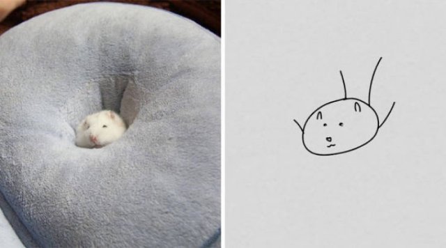 Funny But Poorly Drawn Animals (37 pics) Funny But Poorly Drawn Animals (37 pics)