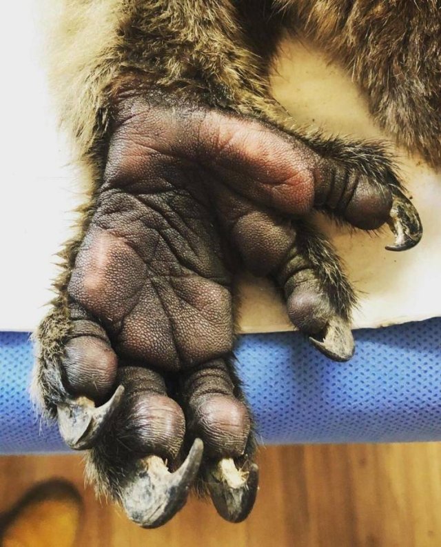 Interesting Finds And Discoveries (49 pics)