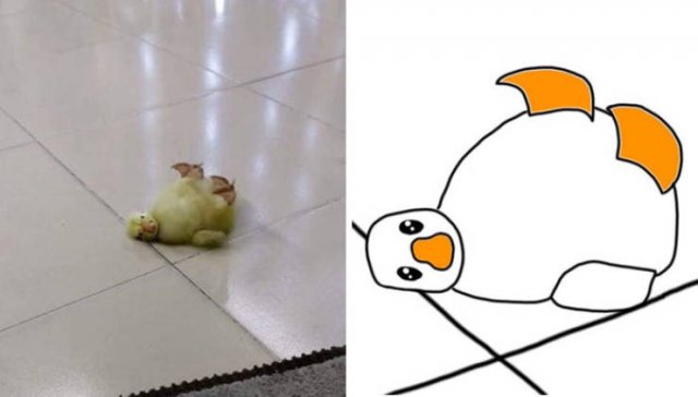 Funny But Poorly Drawn Animals (37 pics) Funny But Poorly Drawn Animals (37 pics)