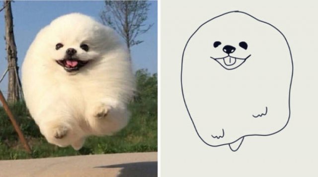 Funny But Poorly Drawn Animals (37 pics) Funny But Poorly Drawn Animals (37 pics)