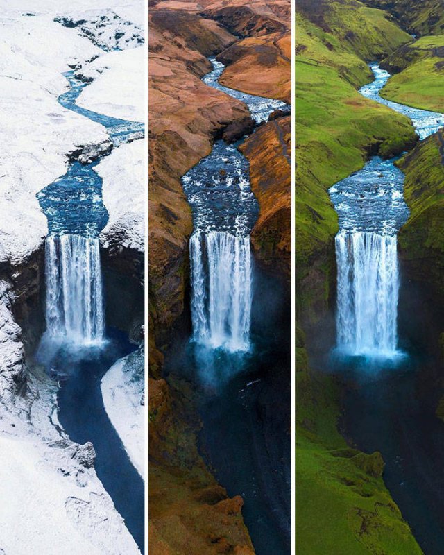 Interesting Comparisons (44 pics)