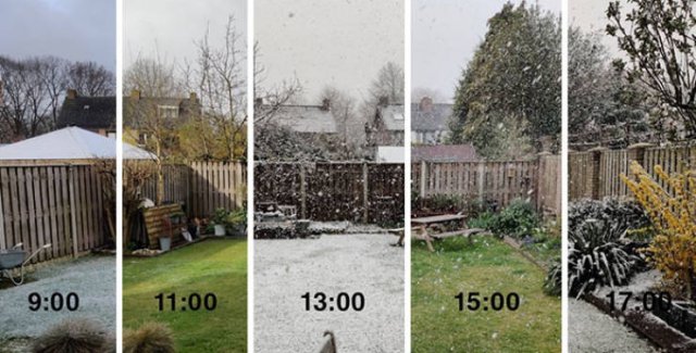Interesting Comparisons (44 pics)