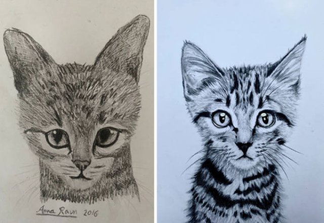 Interesting Comparisons (44 pics)