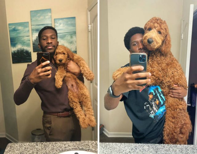 Interesting Comparisons (44 pics)