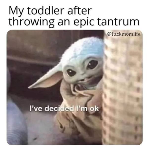 Parenting Memes (29 pics)