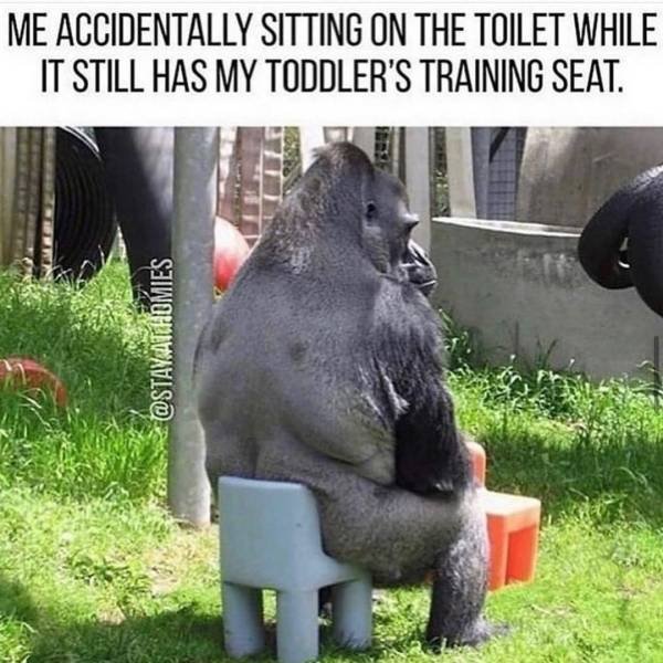 Parenting Memes (29 pics)