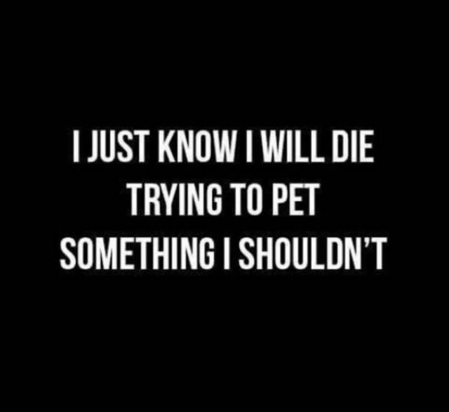Funny Memes (43 pics)