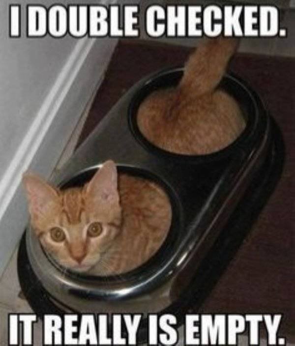 Funny Memes (43 pics)