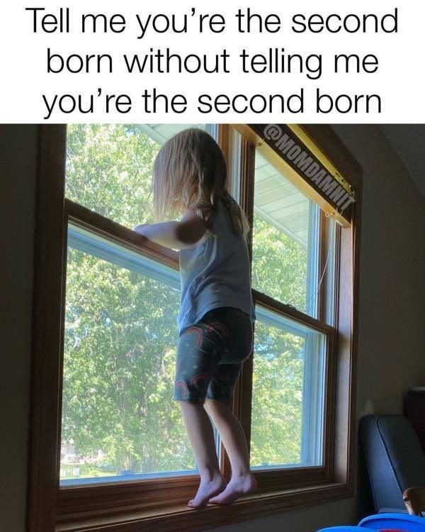 Parenting Memes (29 pics)