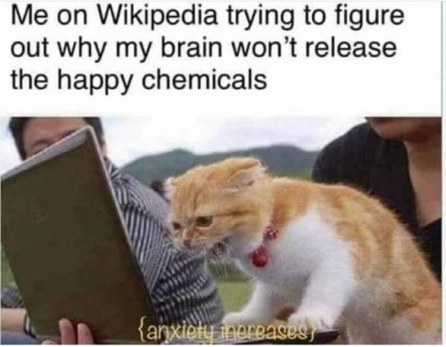 Funny Memes (43 pics)