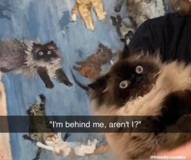 Funny Memes (43 pics)