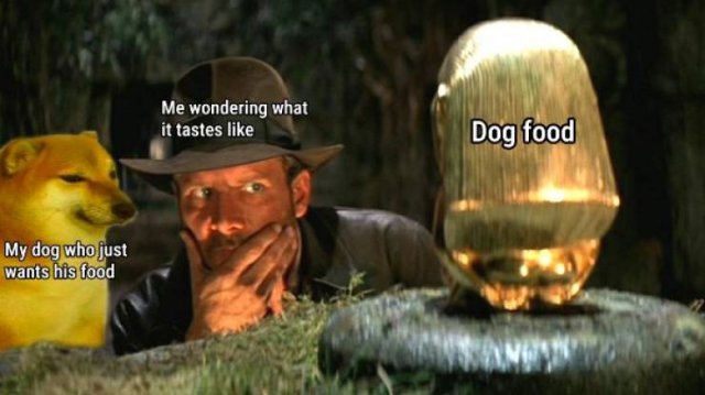 Funny Memes (43 pics)