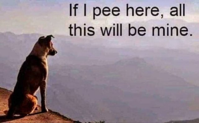 Funny Memes (43 pics)