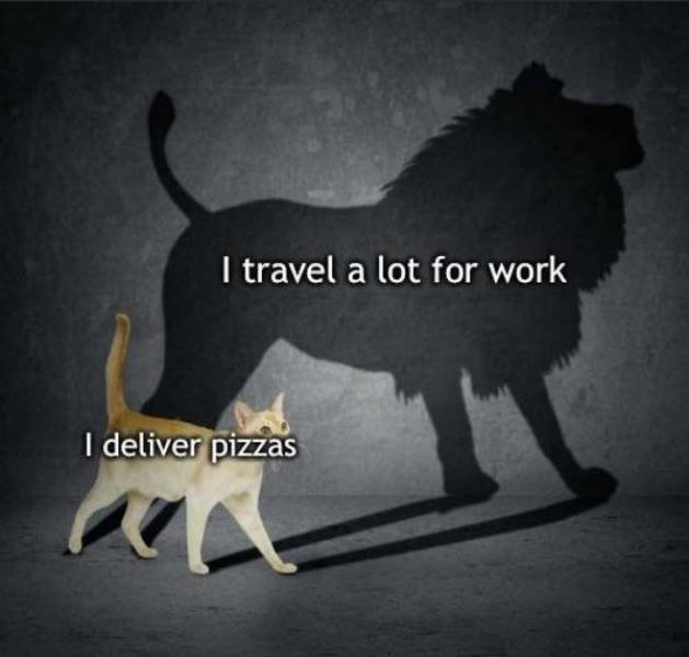 Funny Memes (43 pics)