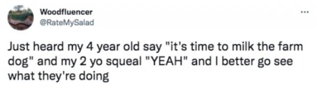 Parenting Memes (29 pics)