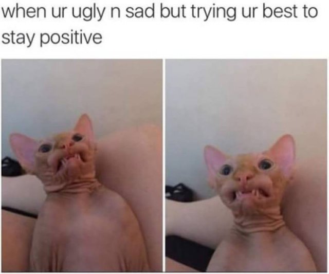 Funny Memes (43 pics)