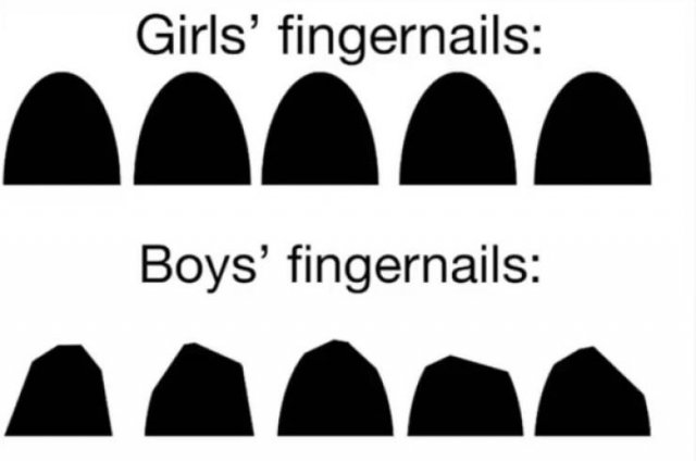 Jokes About Men (24 pics)