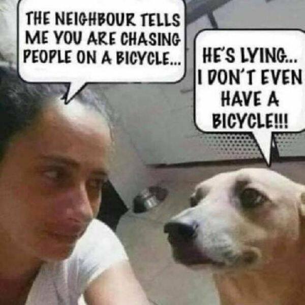 Funny Memes (25 pics)