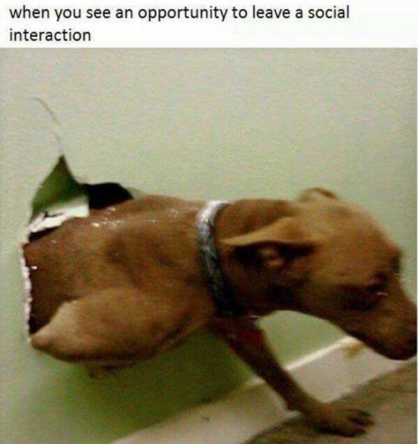 Funny Memes (25 pics)