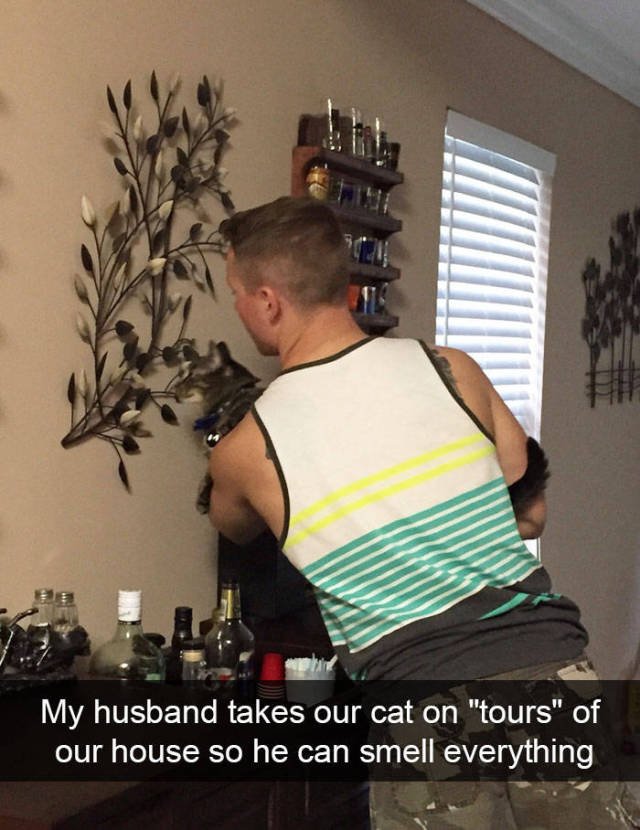 Jokes For Cats Lovers (50 pics)