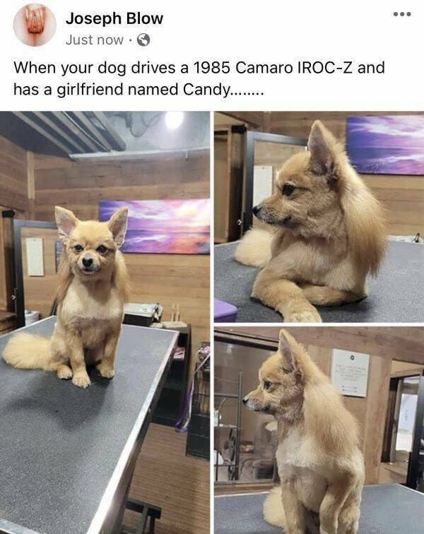 Funny Memes (25 pics)
