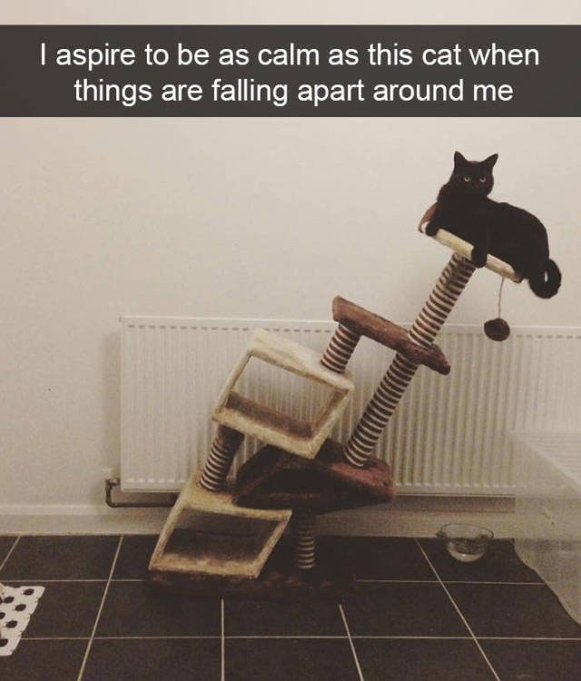 Jokes For Cats Lovers (50 pics)