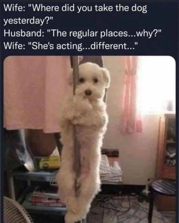 Funny Memes (25 pics)