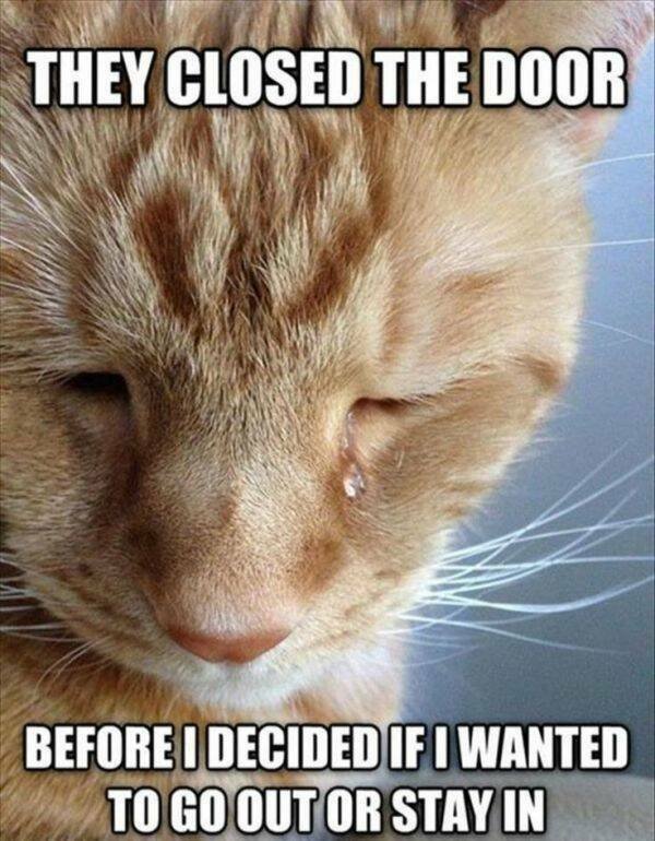 Funny Memes (25 pics)