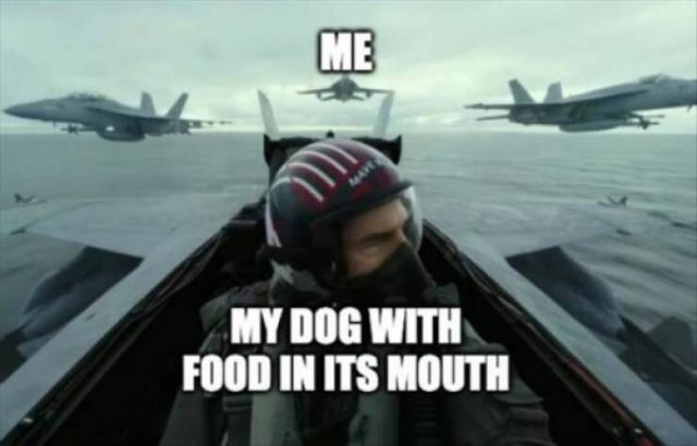 Funny Memes (25 pics)