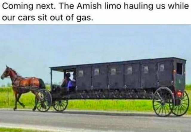 Funny Memes (25 pics)